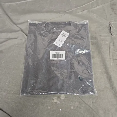 HOLSTER HEAVYWEIGHT CROP FIT T-SHIRT – 100% COTTON, SIZE LARGE IN WASHED GREY