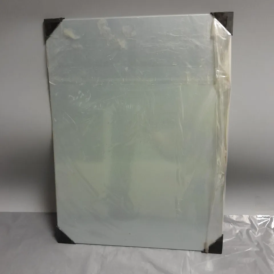 ALICE IN WONDERLAND ALUMINUM WALL POSTER