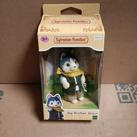 SYLVANIAN FAMILIES BIG BROTHER BRUCE – BOXED COLLECTIBLE FIGURE