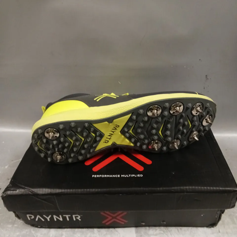 BOXED PAIR OF PAYNTR T20 CRICKET SHOES - 10