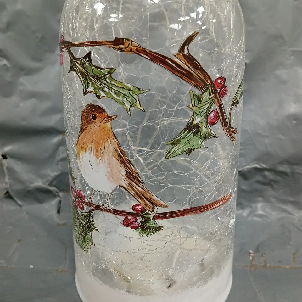 DECORATIVE GLASS LIGHT-UP FESTIVE ORNAMENT - HOLLY ROBIN