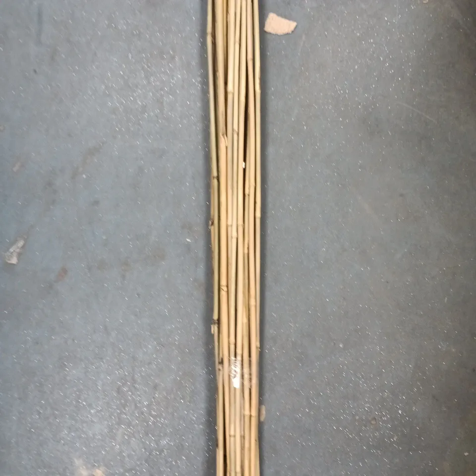 BUNDLE OF BAMBOO CANES (GARDEN & PATIO) – NATURAL