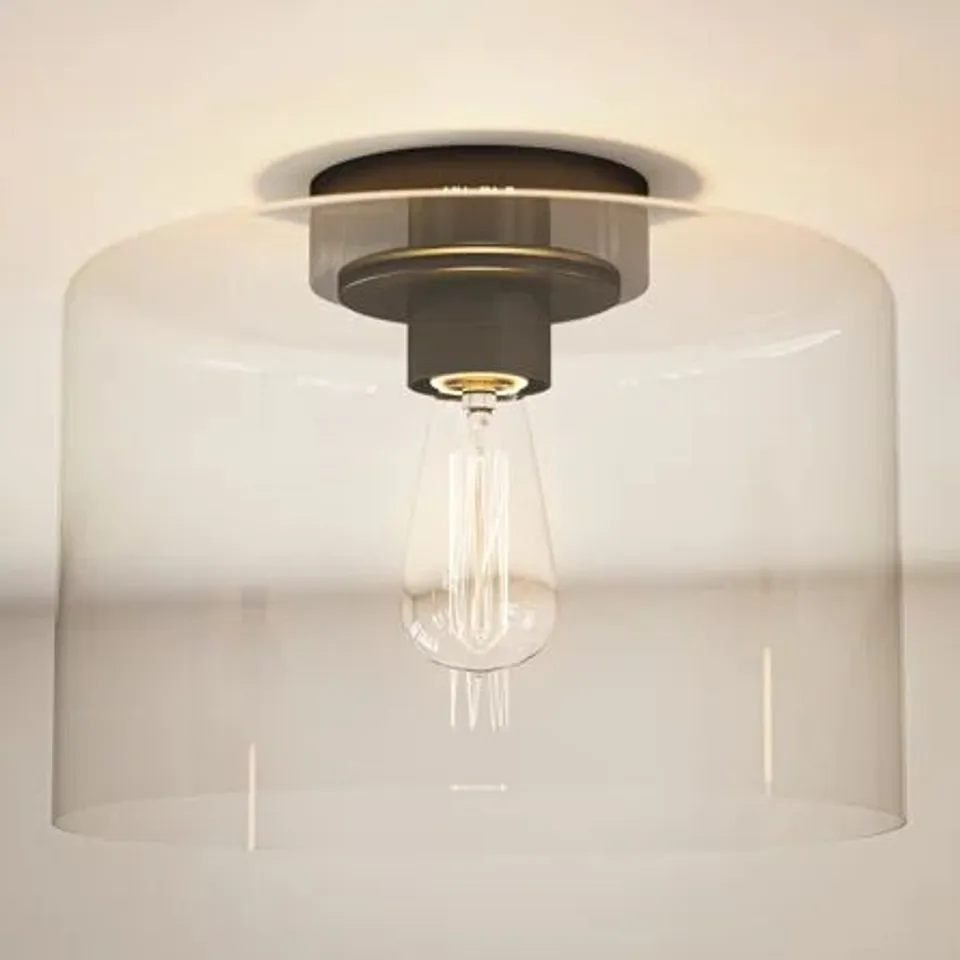 BOXED CLEMATITE 1-LIGHT 29.5CM FLUSH MOUNT FIXTURE