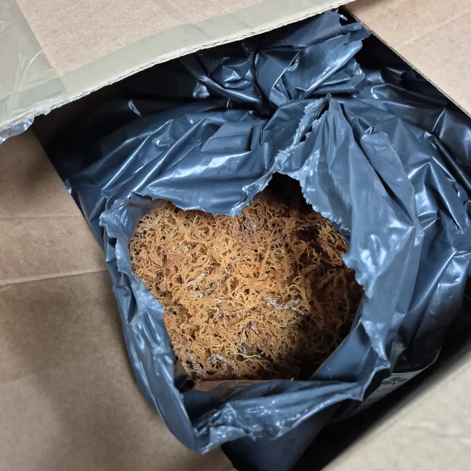 LARGE BAG OF ORGANIC SEA MOSS