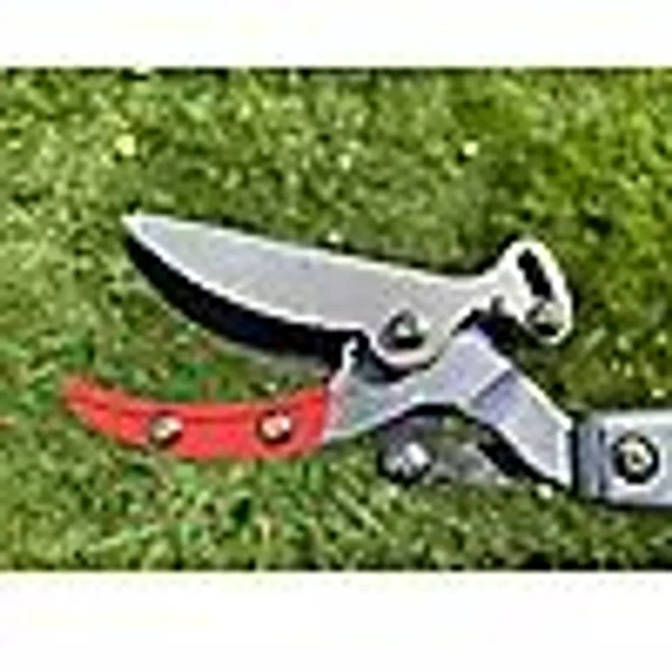 OUTLET SFIXX LONG REACH PRUNER WITH ADJUSTABLE HEAD