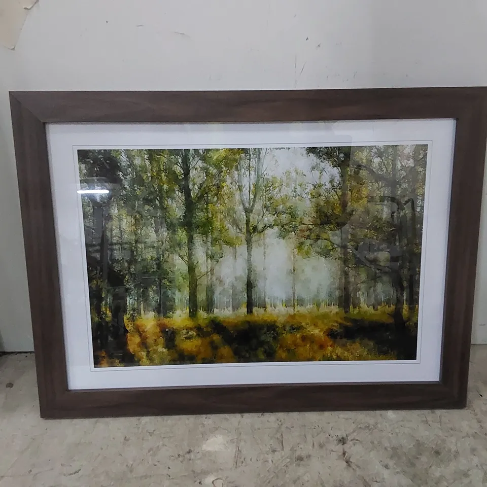 VIEW OF THE FOREST IN THE SPRING - FRAMED PICTURE PRINT