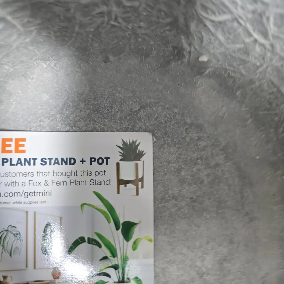  POT – WHITE CERAMIC PLANTER WITH BLACK STRIPE PATTERN