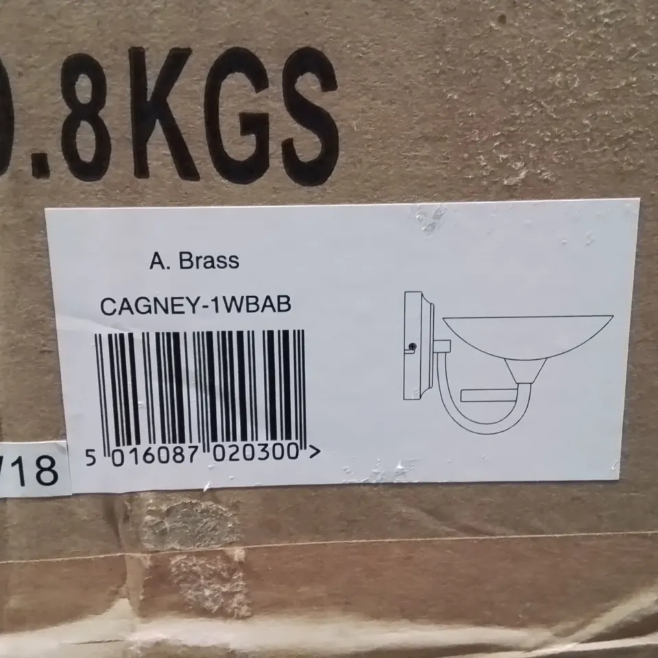 BOXED VOGUE CAGNEY WALL LIGHT ANTIQUE BRASS