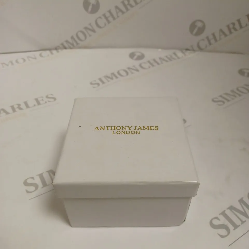 BOXED ANTHONY JAMES GENTS LIMITED EDITION TECHTONIC AUTOMATIC WATCH - STAINLESS STEEL GOLD