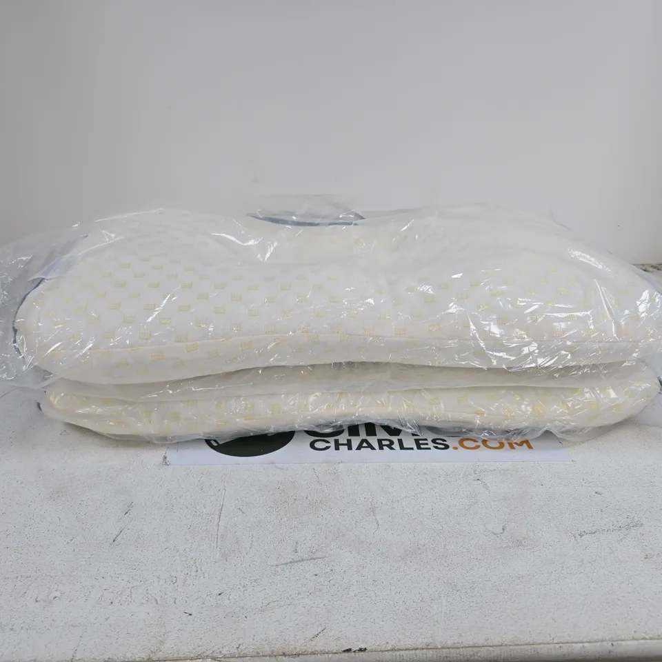 2 X PILLOWS