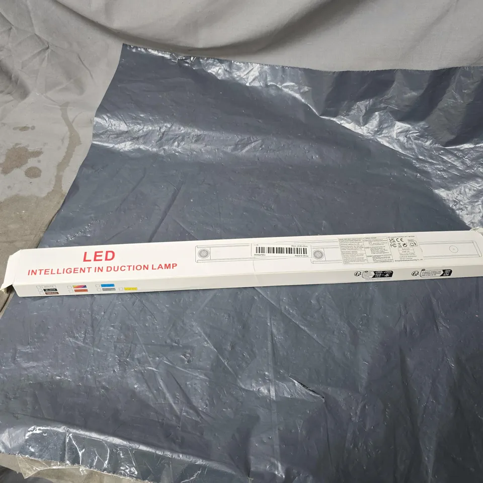 BOX OF APPROXIMATELY 20 ASSORTED HOUSEHOLD ITEMS INCLUDING BONUS DK WOOL , LED LAMP AND PAPER PARTY PLATES 