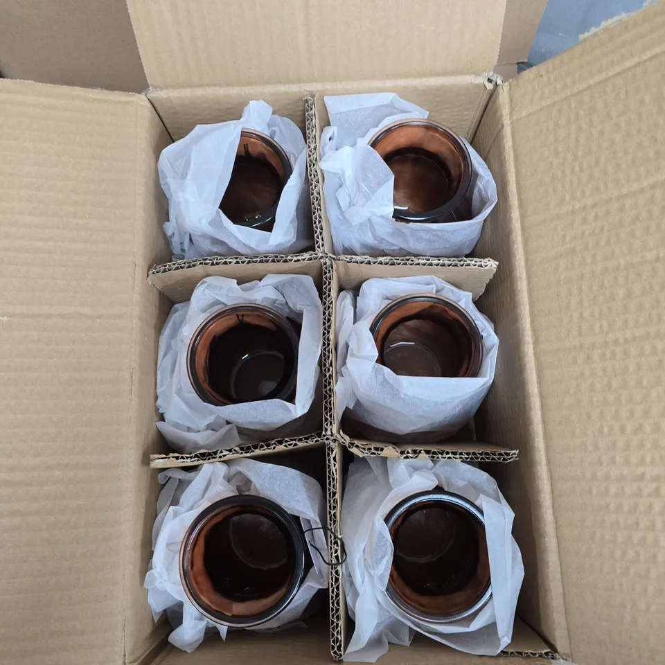 GISELA GRAHAM - BOX OF 6 DUSKY PINK POSY GLASS VASES 