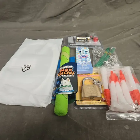 TOTE OF APPROXIMATELY 10 ASSORTED HOUSEHOLD ITEMS TO INCLUDE STITCH PENS, PADLOCKS AND DOG TOY