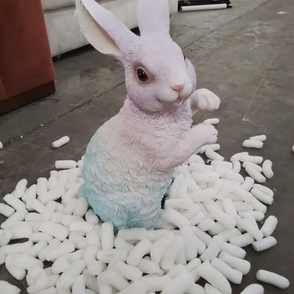 BOXED GARDEN RAINBOW BUNNY