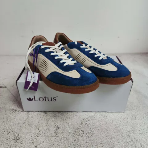 LOTUS BLUE/MULTI TRAINERS – UK 7