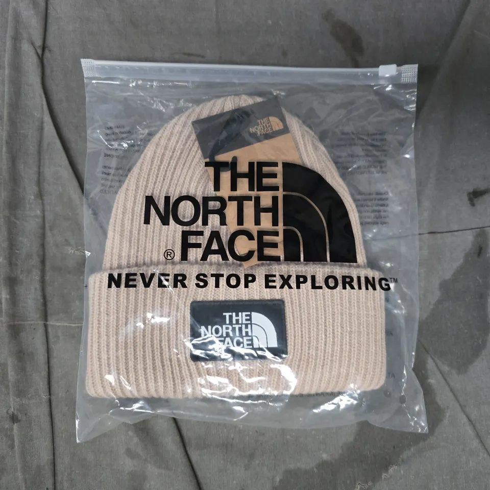 THE NORTH FACE BEANIE HAT IN BEIGE