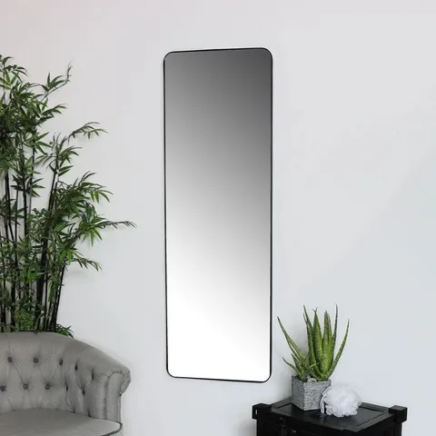 BOXED BRAZORIA FULL LENGTH MIRROR (1 BOX)