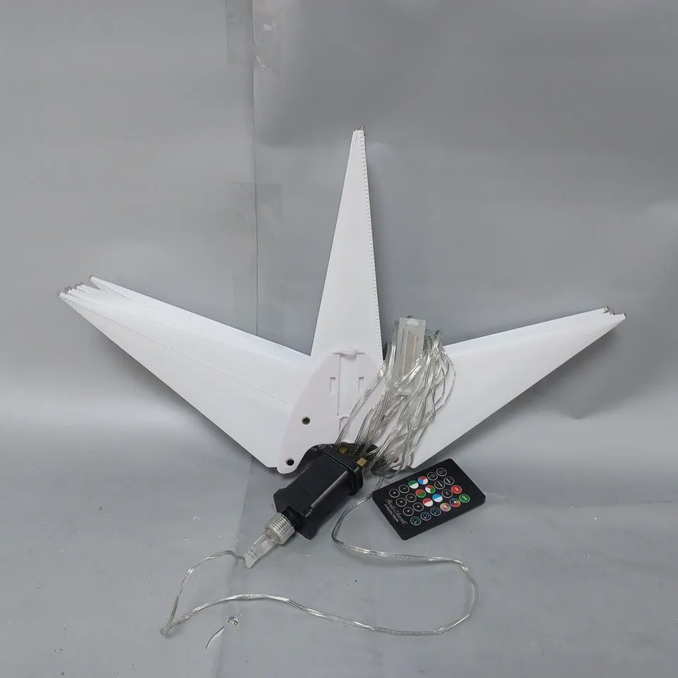PACIFIC ACCENTS STAR BURST LIGHT