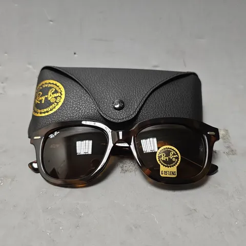 BOXED RAY BAN RB4398 ERIK SUNGLASSES