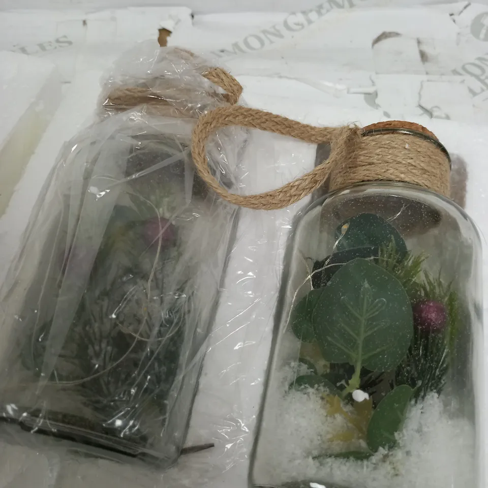 SARAH DAVIES SET OF 2 PRE LIT FOLIAGE GLASS JARS