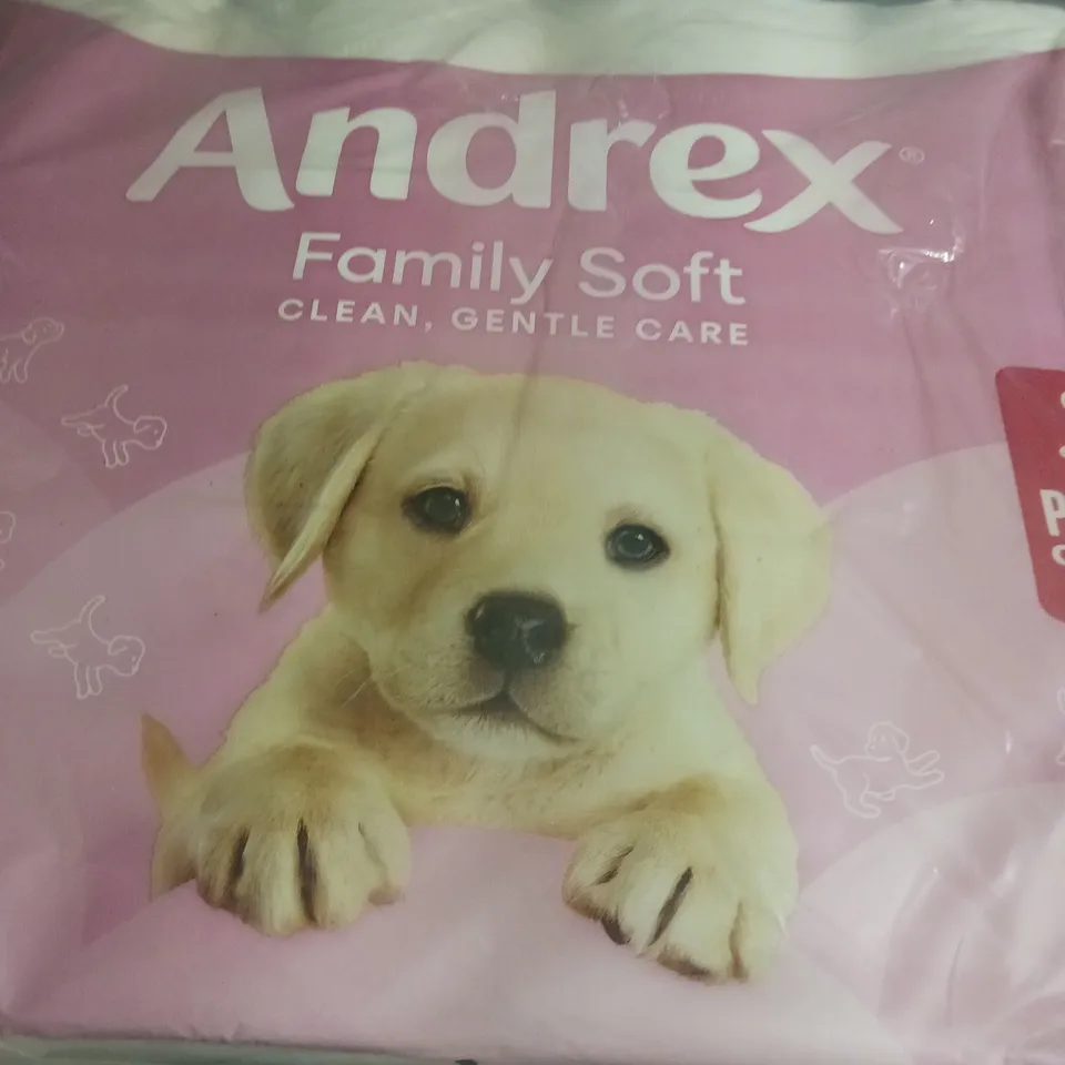 ANDREX GENTLE CLEAN PUPPIES RECYCLED TOILET PAPER, 72 ROLLS