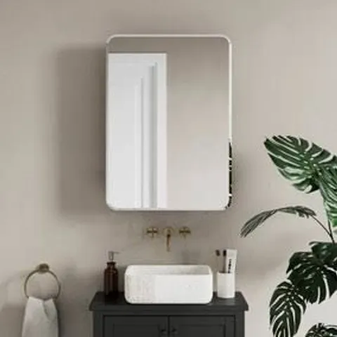 BOXED FULTON BATHROOM MIRROR WALL CABINET - BLACK (1 BOX)