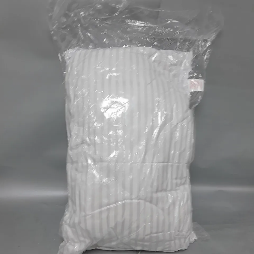 SET OF 2 BAGGED PILLOWS