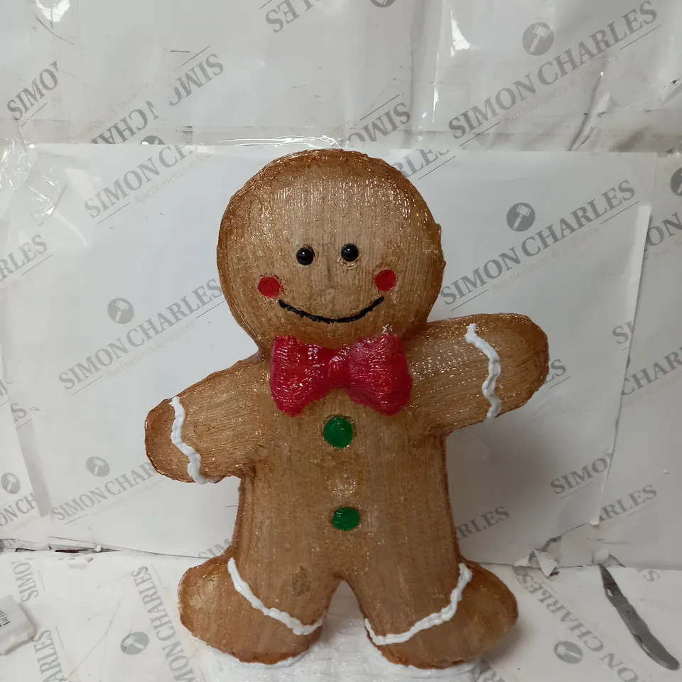 GINGERBREAD MAN ACRYLIC OUTDOOR LIGHT RRP £39.99