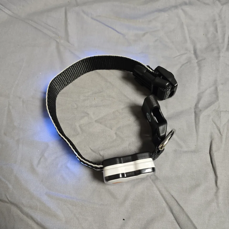 APPROXIMATELY 25 PETBRIGHT RECHARGEABLE LED DOG COLLAR