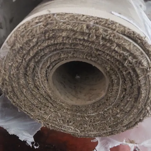 ROLL OF QUALITY CLASSIC CHARM ACTIONBAC CARPET - APPROXIMATELY 5.55 x 5m
