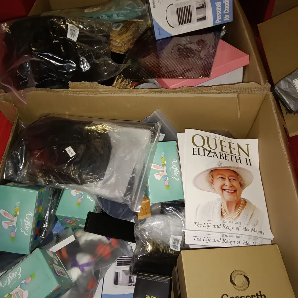 PALLET OF ASSORTED ITEMS TO INCLUDE PERSONAL AIR CONDITIONERS, QUEEN ELIZABETH TRIBUTE MAGAZINES, EASTER EGG SETS AND WOODEN PEGS