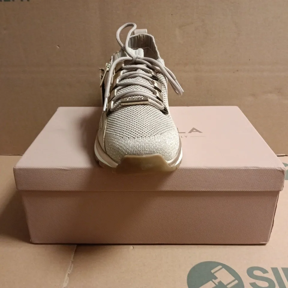 BOXED PAIR OF CARVELA PACE ZIP KNIT TRAINERS IN TAUPE SIZE EU 42