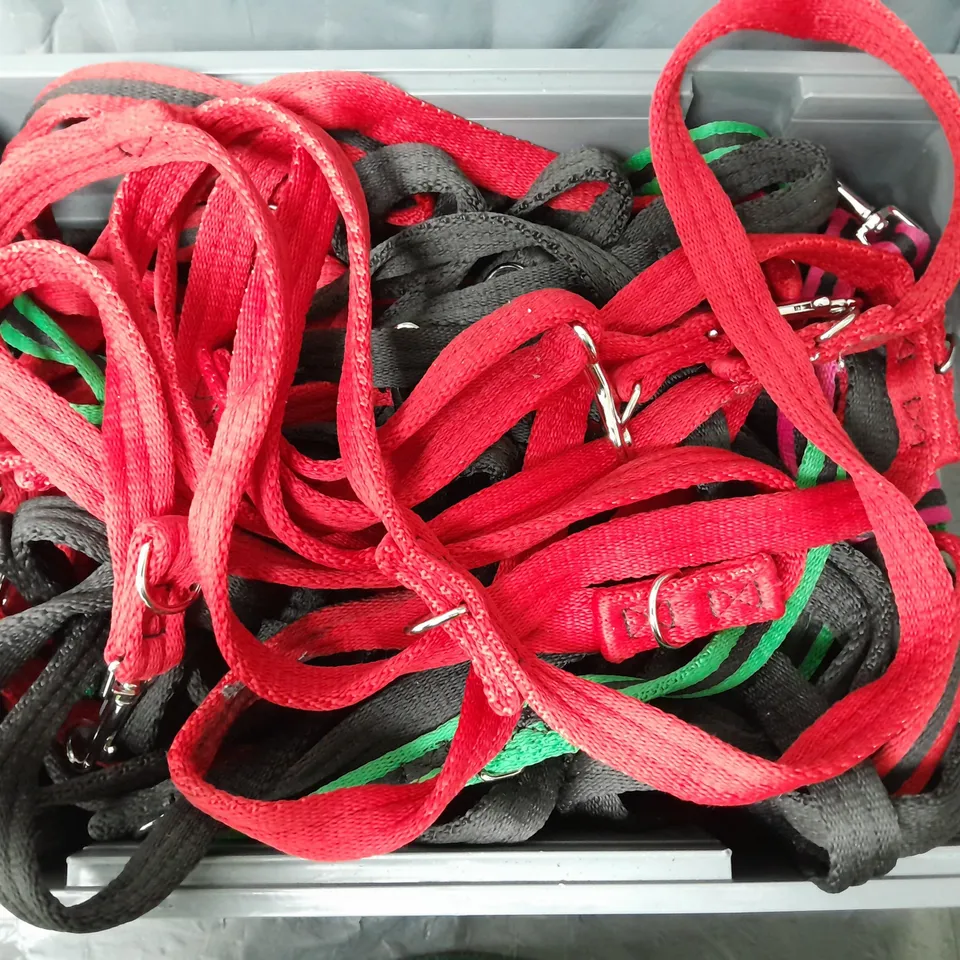 APPROXIMATELY 10 ASSORTED DOG LEADS IN VARIOUS COLOURS