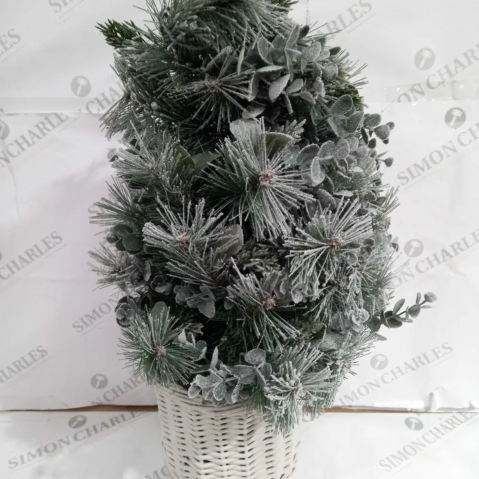 KELLY HOPPON FESTIVE FROSTED SNOW LIGHT UP MINI TREE