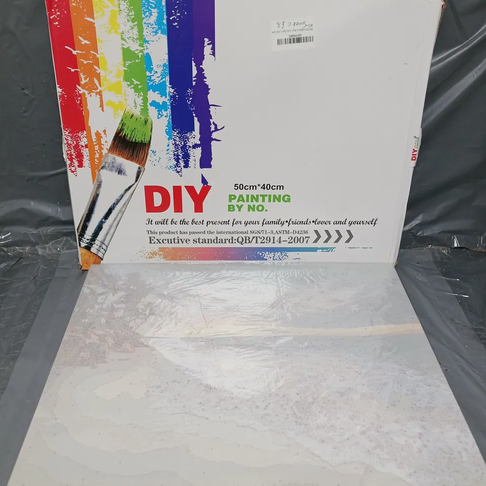 BOXED DIY DIGITAL PAINTING ADULT PAINT BY NUMBERS CANVAS (50*40cm)