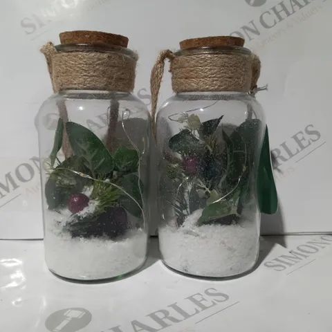 BOXED OUTLET SARA DAVIES SET OF 2 PRE-LIT FOLIAGE GLASS JARS