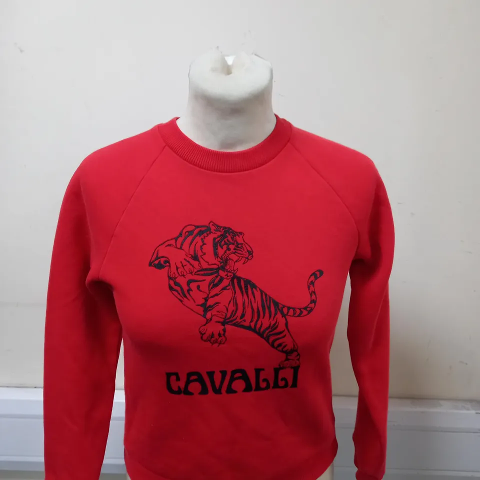 ROBERTO CAVALLI GRAPHIC JUMPER SIZE 10 YEARS