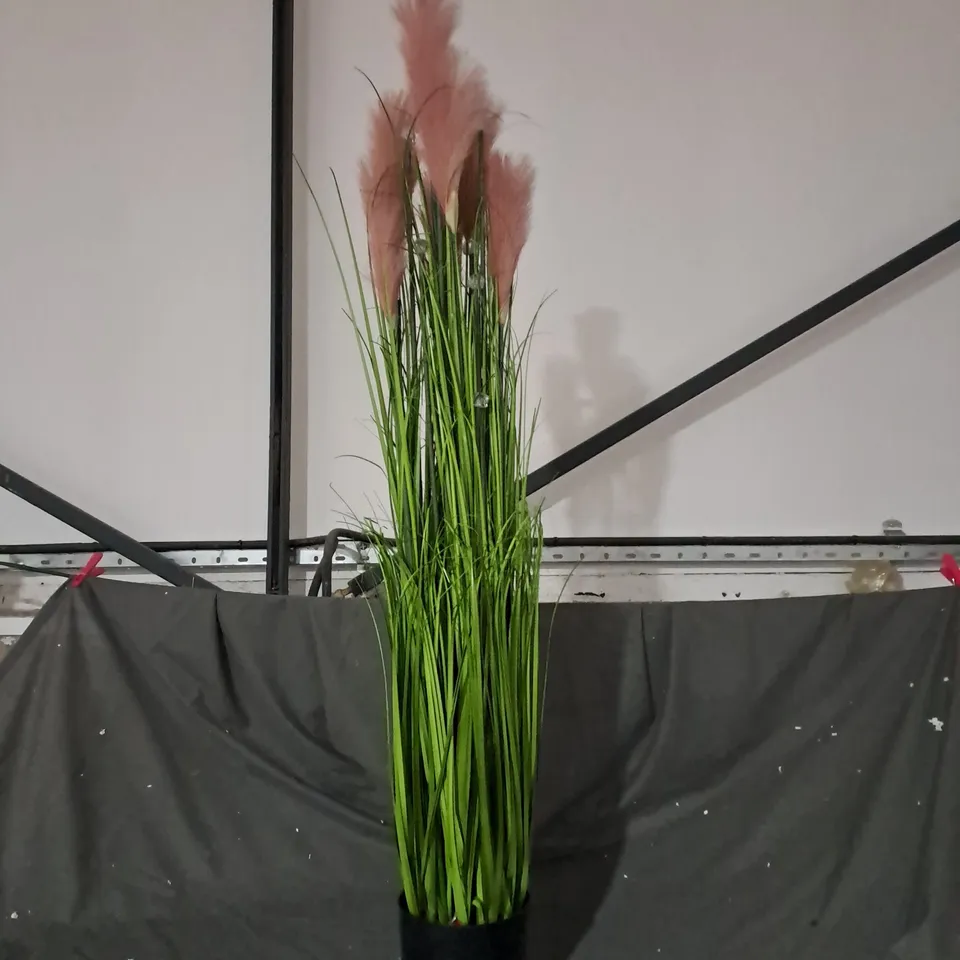 BOXED HOME2GARDEN LED ORNAMENTAL PLANT DÉCOR 