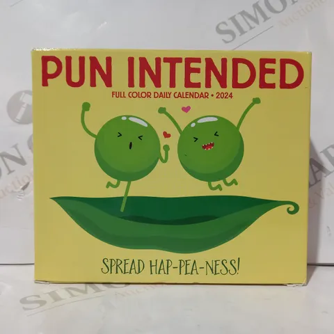 BOXED PUN INTENDED FULL COLOUR DAILY CALENDAR - 2024