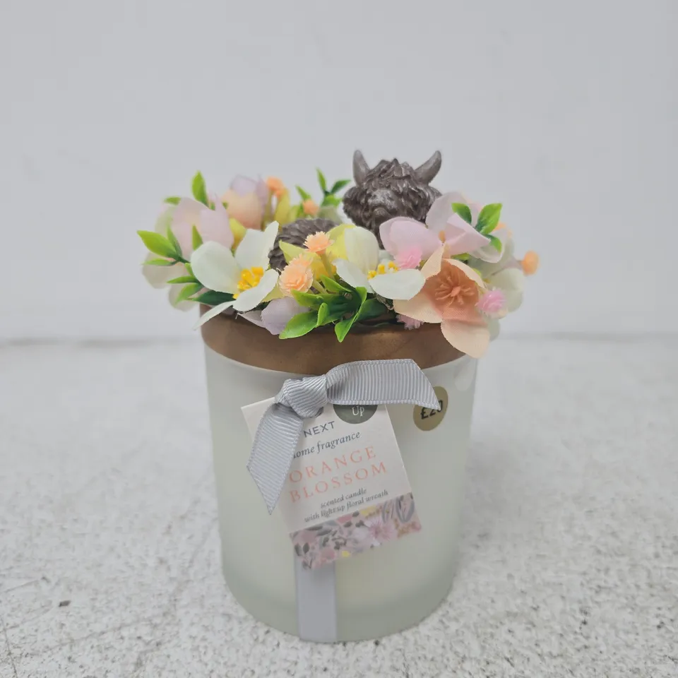 NEXT HOME FRAGRANCE SCENTED CANDLE – ORANGE BLOSSOM