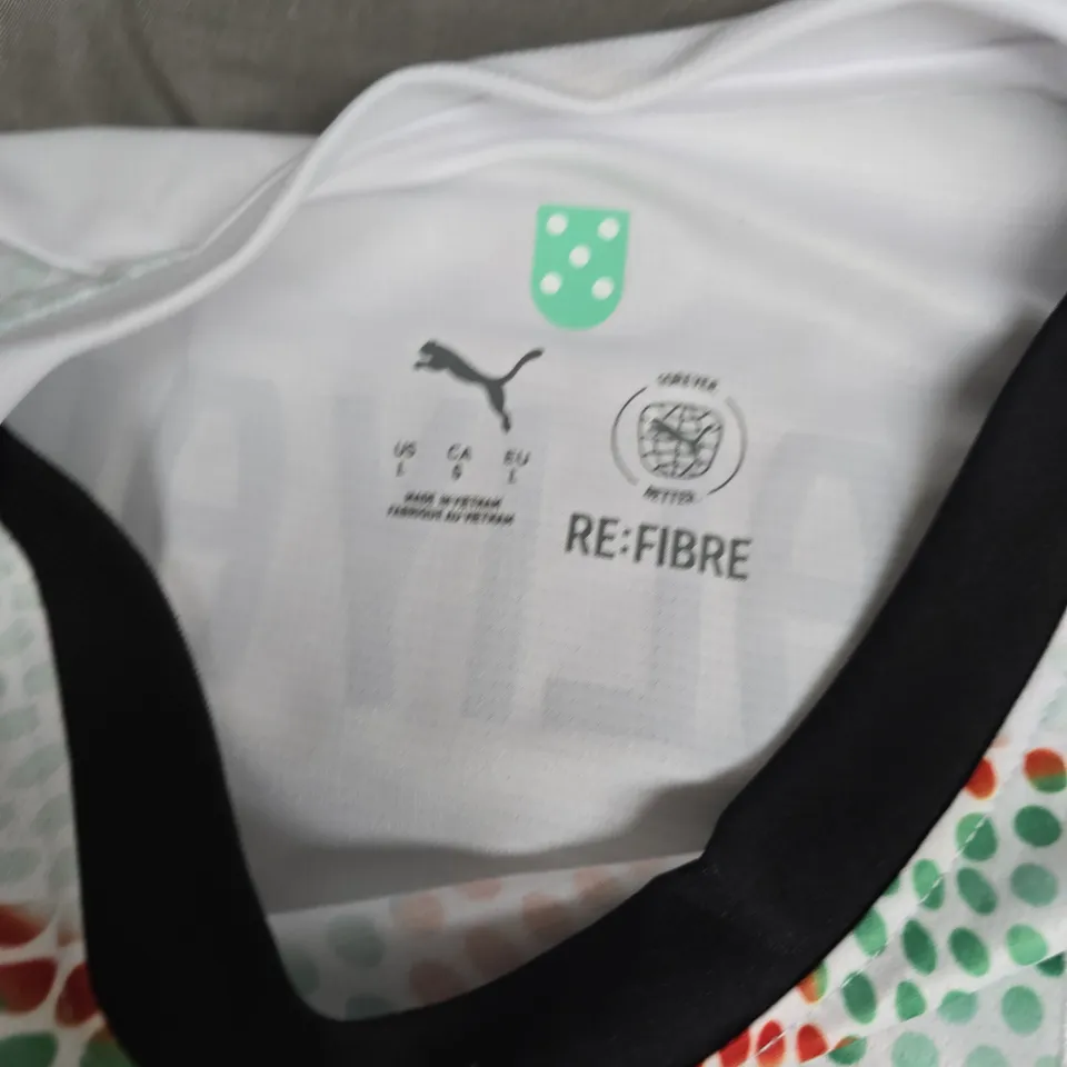 PORTUGAL NATIONAL FOOTBALL TEAM JERSEY – WHITE, NUMBER 10, AALIYAH