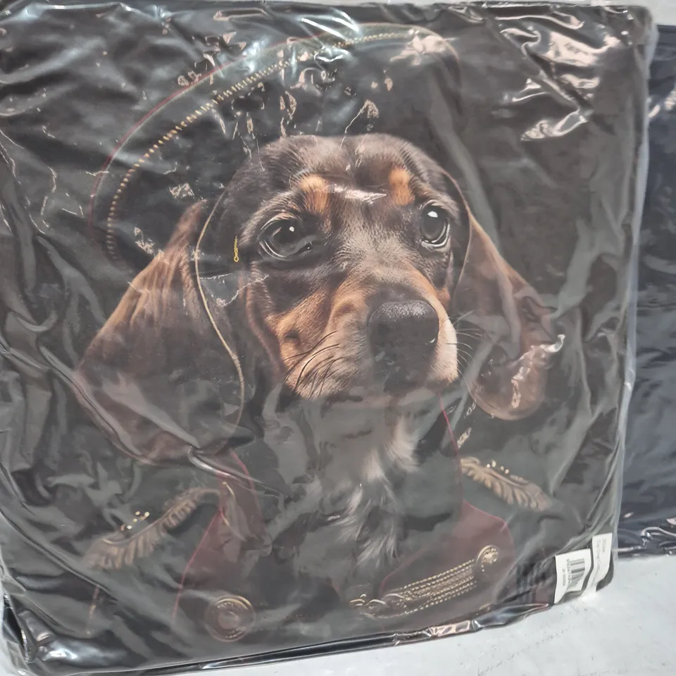 LOT OF 16 AS NEW TOP DOG DASCHHUND THEMED FILLED CUSHIONS - 45X45CM