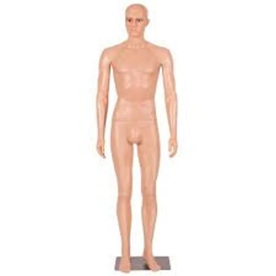 BOXED 184CM MALE MANNEQUIN FULL BODY MANIKIN WITH METAL BASE