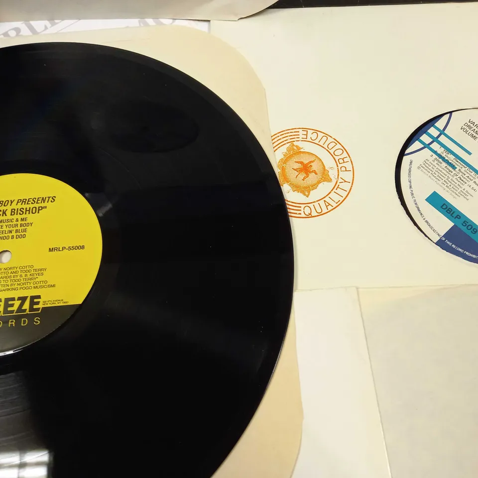 LOT OF 12 ASSORTED VINYLS TO INCLUDE INFRA-RED, KEISHA JENKINS AND BLACK BISHOP