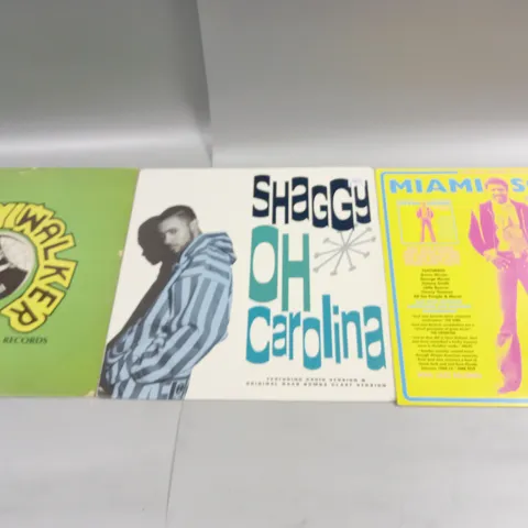 APPROXIMATELY 10 ASSORTED VINYL RECORDS TO INCLUDE SHAGGY OH CAROLINA, LUKE SKYWALKER RECORDS, AND DEF JAM SOUTH ETC.