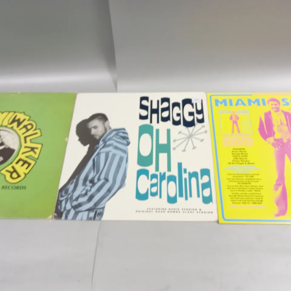 APPROXIMATELY 10 ASSORTED VINYL RECORDS TO INCLUDE SHAGGY OH CAROLINA, LUKE SKYWALKER RECORDS, AND DEF JAM SOUTH ETC.