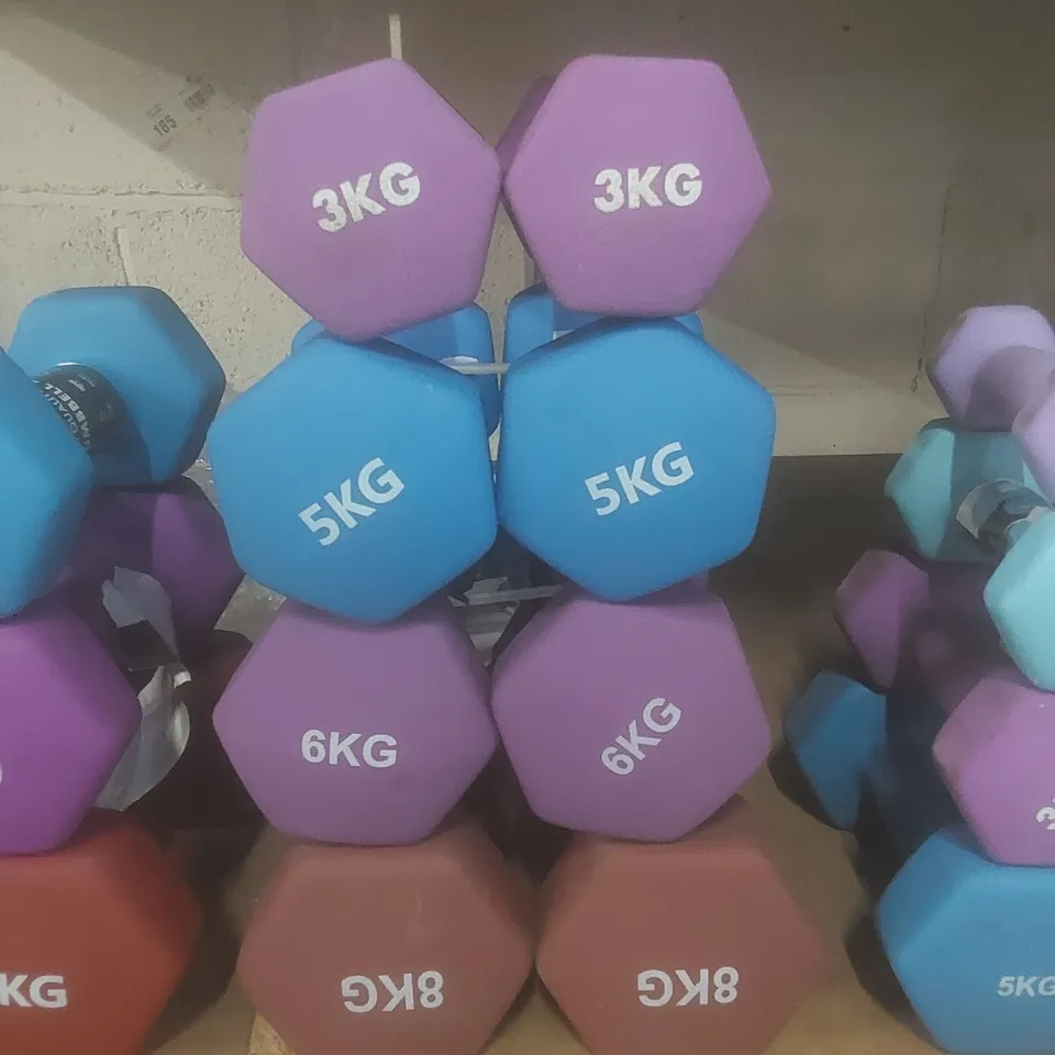 SET OF 8 KAYMAN DUMBBELLS - COLOURS VARY // 2 X 3KG, 5KG, 6KG, 8KG