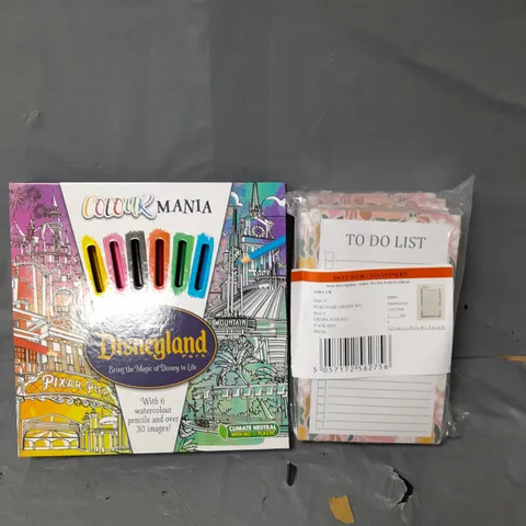APPROXIMATELY 20 DISNEYLAND COLOURING SET AND TO DO LIST PADS