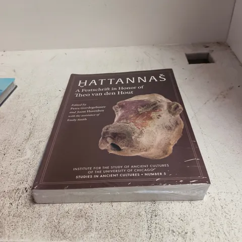 HATTANNAŠ: A FESTSCHRIFT IN HONOUR OF THEO VAN DEN HOUT