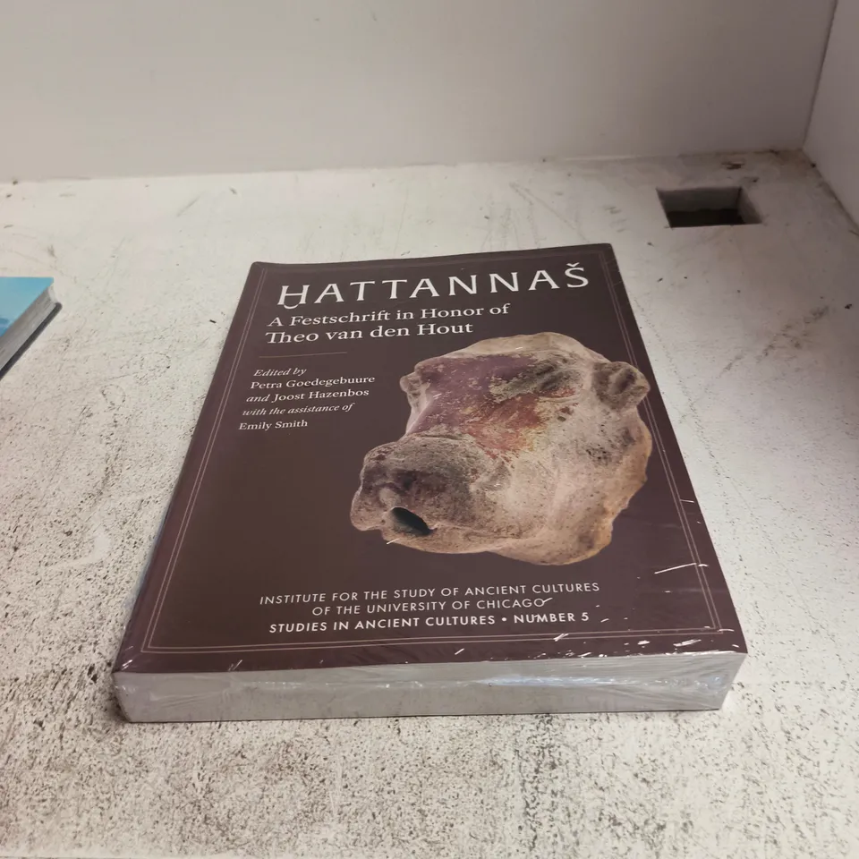 HATTANNAŠ: A FESTSCHRIFT IN HONOUR OF THEO VAN DEN HOUT